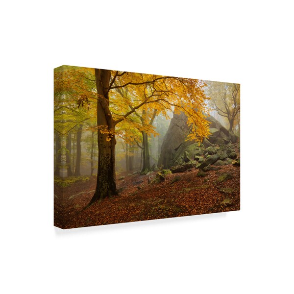 Daniel Rericha 'Autumn Forest' Canvas Art,16x24